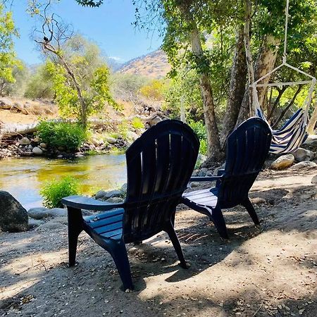 ת'רי ריברס Sequoia Cabin By The River מראה חיצוני תמונה