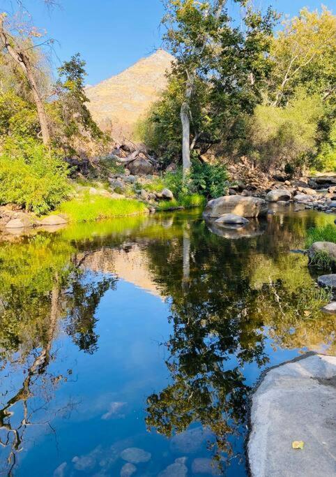 ת'רי ריברס Sequoia Cabin By The River מראה חיצוני תמונה