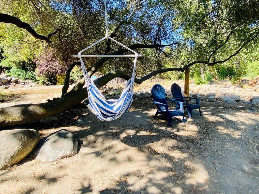 ת'רי ריברס Sequoia Cabin By The River מראה חיצוני תמונה