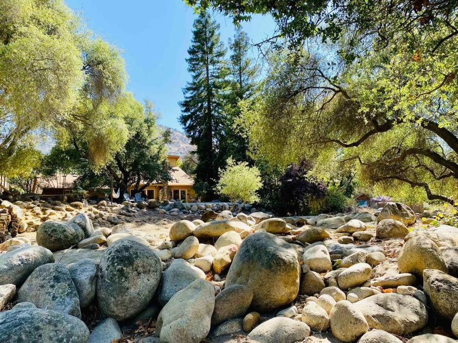 ת'רי ריברס Sequoia Cabin By The River מראה חיצוני תמונה