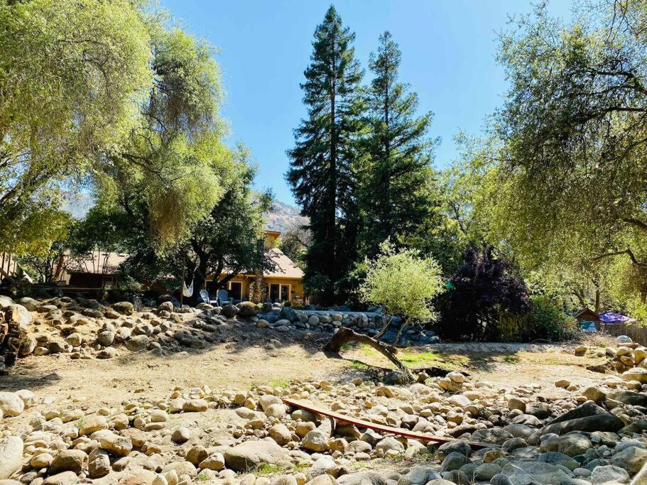 ת'רי ריברס Sequoia Cabin By The River מראה חיצוני תמונה