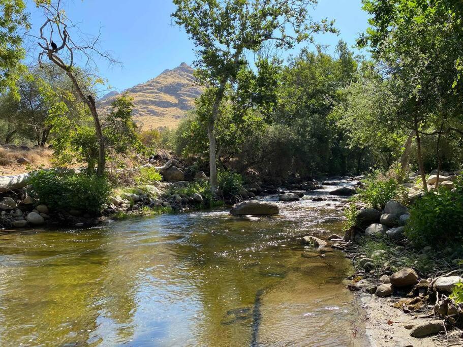 ת'רי ריברס Sequoia Cabin By The River מראה חיצוני תמונה