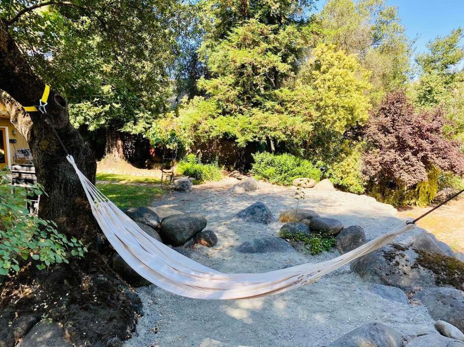 ת'רי ריברס Sequoia Cabin By The River מראה חיצוני תמונה