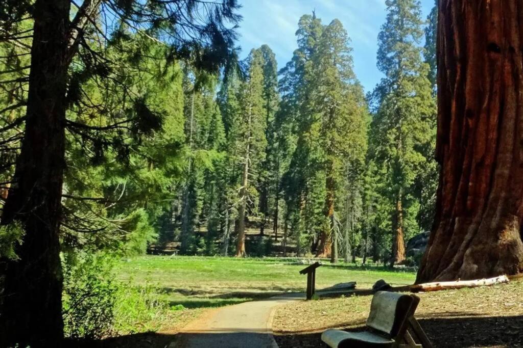 ת'רי ריברס Sequoia Cabin By The River מראה חיצוני תמונה