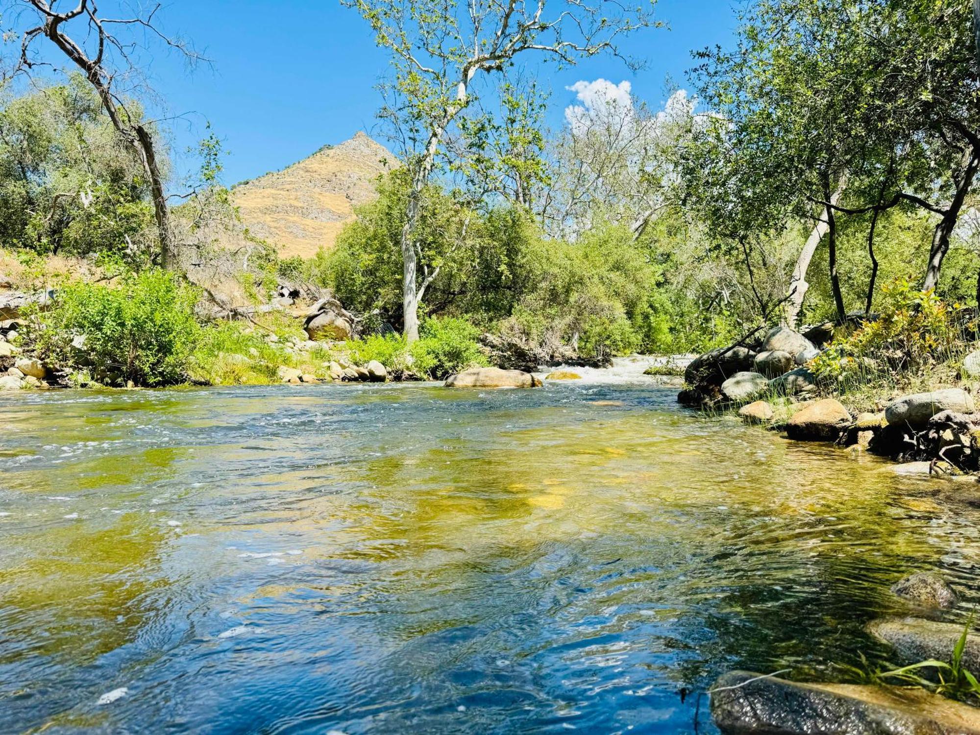 ת'רי ריברס Sequoia Cabin By The River מראה חיצוני תמונה